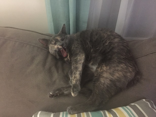 gigi-yawn